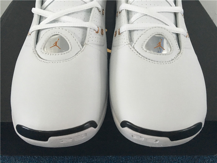 Air Jordan 17+ Retro Copper